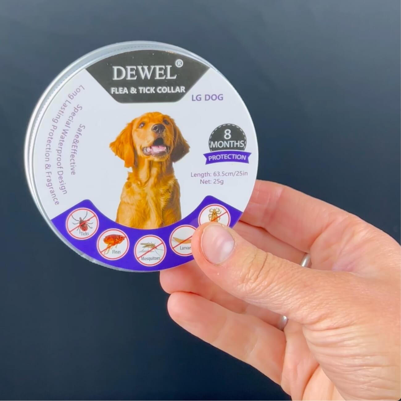 What Real Dog Owners Say About the DEWEL Collar After Making the Switch